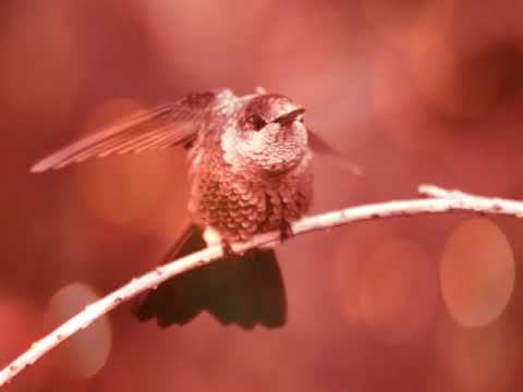 Armin van Buuren feat. David Hodges - Waking Up With You