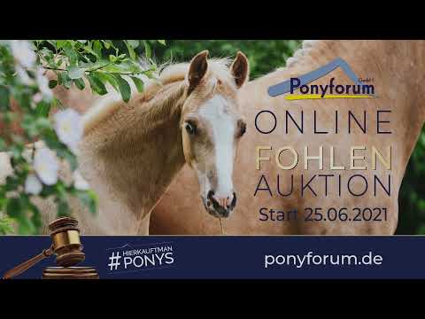 CENSATION S SF v. DSP Cosmo Royale / Vincenzo