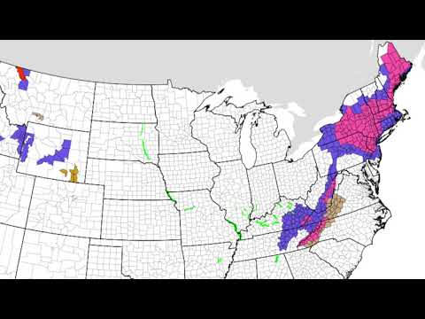 December 2, 2019 Weather Xtreme Video - Morning Edition