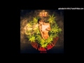 Lady Gaga - Mary Jane Holland (Jad ...