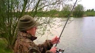 Salt Brothers Swan bites my arse May 2012