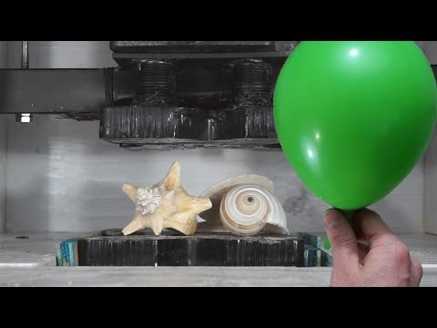 Is It Possible To Inflate A Balloon With Crushed Seashells From A Hydraulic Press? Video