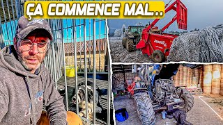-11°C À LA FERME… ET MON CHIEN RECHUTE 😰 | DÉBUT D’ANNÉE SOUS TENSION