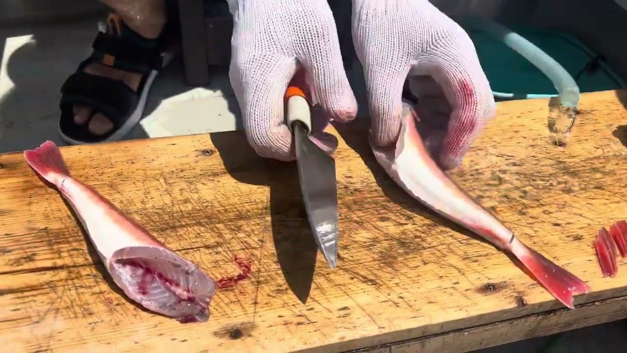 カナガシラを美味しく食べる😋簡単な捌き方紹介します　天祐丸