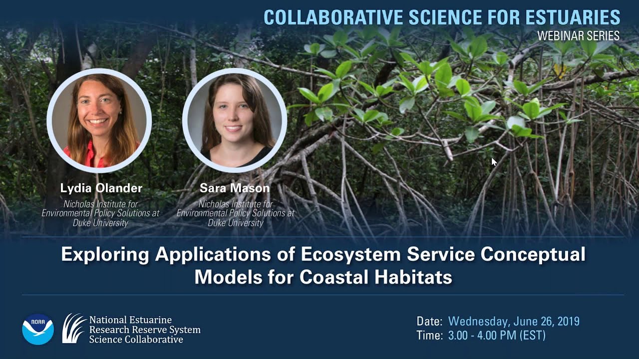 Exploring Applications of Ecosystem Service Conceptual Models for Coastal Habitats