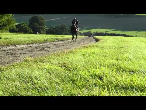 An Introduction to Champion Trainer Paul Cole.