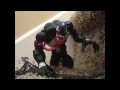Spider man vs. Venom Part II 