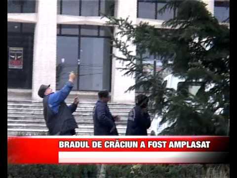 Bradul de Craciun a fost amplasat