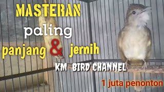 Download lagu kapas tembak gacor fighter nembak sadis panjang banget mp3 Download lagu kapas tembak gacor fighter nembak sadis panjang banget mp3