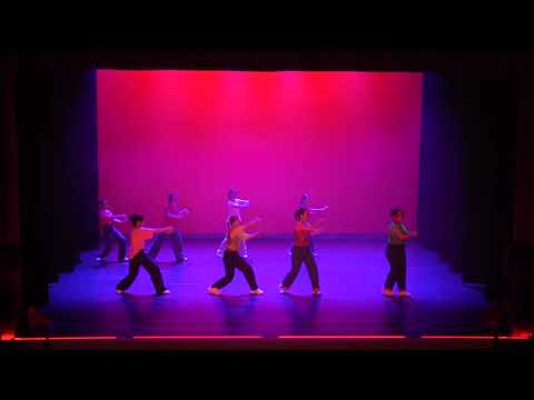 🩰 Gala « Danser nos liens » — MJC de Douai & Villers Danse