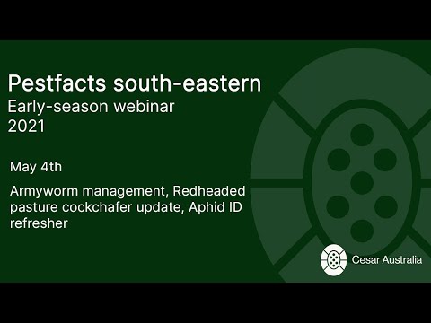 PestFacts early season webinar 3 - Armyworm management | Redheaded pasture cockchafer | Aphid ID