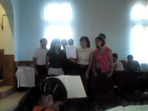 Program muzical ciolanesti