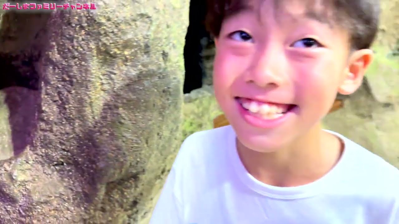 昆虫の標本を見ていたらゴキブリが…😂