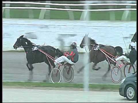 Trotto 26/11/2015 - 3° corsa