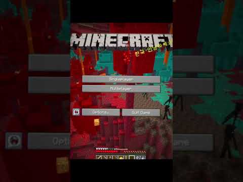 Minecraft Nether Update Seed Moment