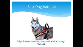 Dog Harness in Round Rock
