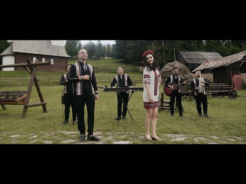 Trupa Dreams - Muzica de petrecere