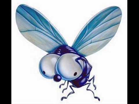 logical -hydro alliance