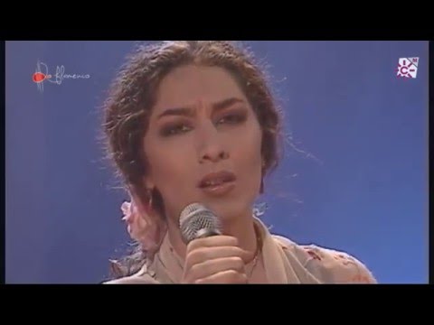 Lo Flamenco. Remedios Amaya, Pepe Romero, El Pele... 2014