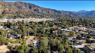Explore Lot 61!