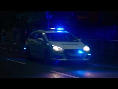 Fireworks Cause Real Harm 30 EN