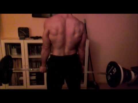 Gladiators Bars 2017