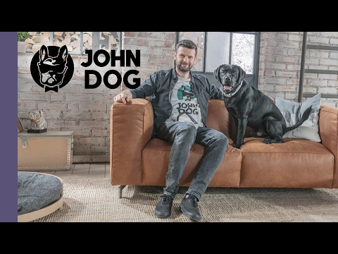 Jak nauczyć psa czekania na miskę - TRENING PSA - John Dog