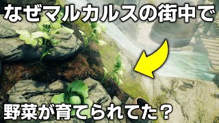 なぜマルカルスの街中で野菜が育てられていたのか？(+6つのSkyrim小ネタ)