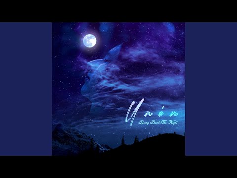 Bring Back The Night