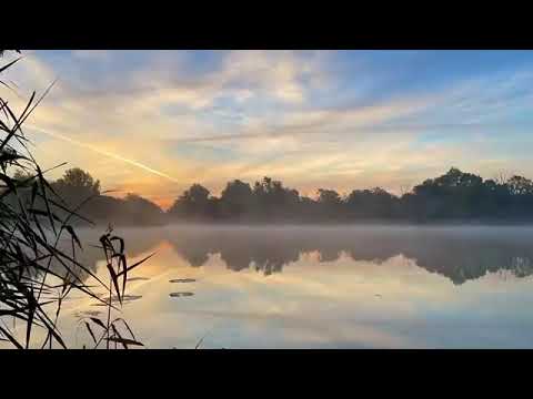 Misty Autumn Sunrise in the Fens