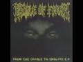 From The Cradle To Enslave - Cradle Of Filth