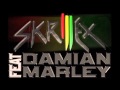 Skrillex ft Damian Marley - Make It Bun Dem 