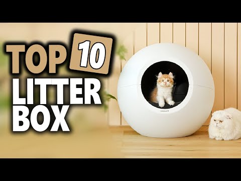 Best Litter Box in 2022 | Top 10 Automatic Litter Box For Multiple Cats