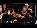 Bach - Cantata Schwingt freudig euch empor BWV 36 - Van Veldhoven | Netherlands Bach Society