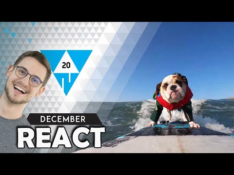 React: WIN Compilation DECEMBER 2020 Edition