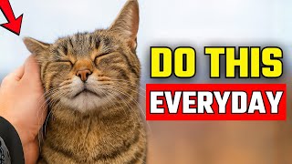 Download lagu 11 Gestures That Say ‘I Love You’ to your Cat mp3 Download lagu 11 Gestures That Say ‘I Love You’ to your Cat mp3