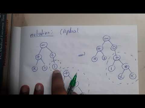 4.5 Genetic Programming