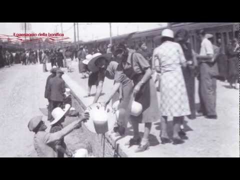 immagini d'epoca terre risaie e mondine tra il 1920 1950