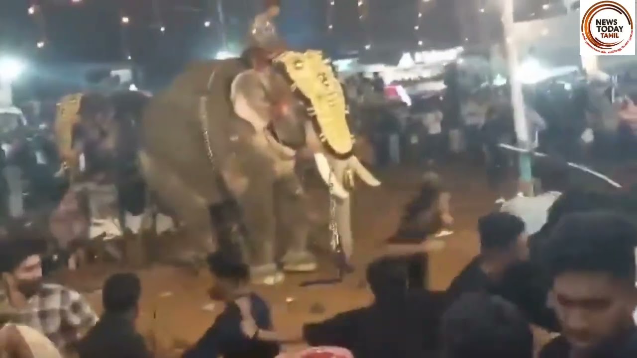 திரூரில் ஆக்ரோஷமான யானை ஒருவரை தூக்கி எறிந்த காட்சி.!