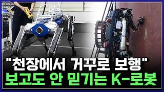 "K-로봇 기술 미쳤다!" 곤충 보고 만든 '초소형 비행로봇'부터 천장에서 거꾸로 보행도 가능한 '4족 보행로봇'까지! [반복재생] / YTN 사이언스