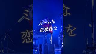 「ミーム」👑ライブ映像を一部公開！#須田景凪 #ミーム #ライブ映像