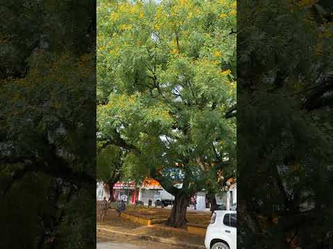 Salto de pirapora sp