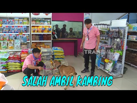 Anwar & Billy Kena Omel Gara-Gara Kambing | BIKIN SENENG (23/03/25) Part 3