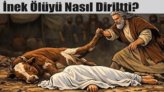 İnek Ölüyü Nasıl Diriltti? | Bakara Kıssasına Ezber Bozan Bakış