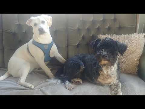 Vlog odc 25 O pikniku