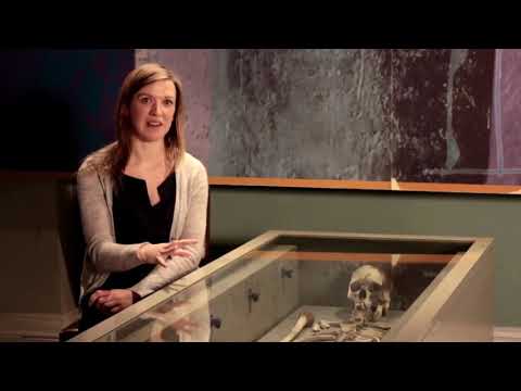 Viking Ireland 1   Arrival of Vikings & Beliefs