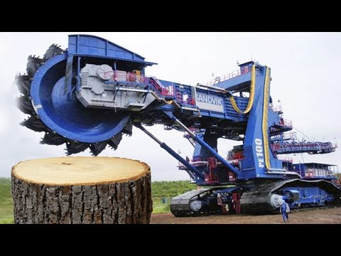 Amazing Fast Stump Removal Excavator Is So Satisfy, Stump Grinding Machines  Wood Crusher Working