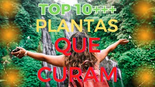 Plantas que curam !!!! Srie!!!!