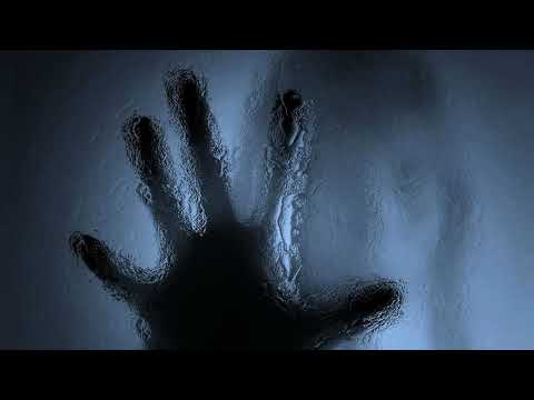 Eiton & Exiva - Stasi