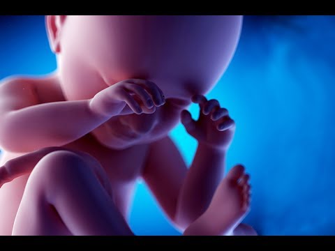 Embryology in the Qur'an lecture by Dr Keith Moore, University of Illinois, 1990